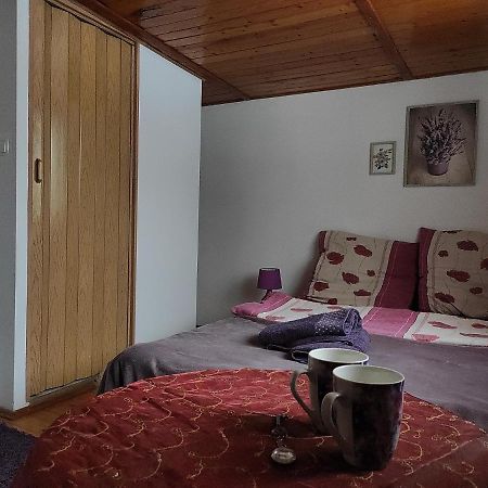 Home Stay Slotwinska Krynica Exterior foto